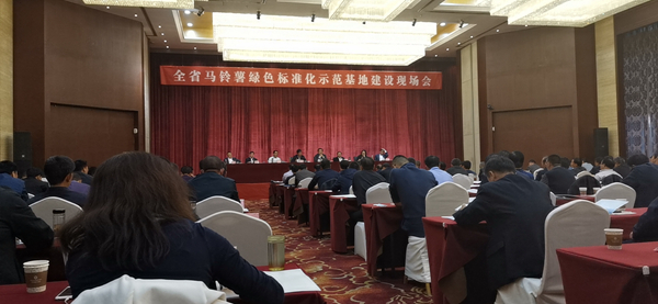 数字应用保障标准化种植，乐鱼助力甘肃马铃薯产业化之路