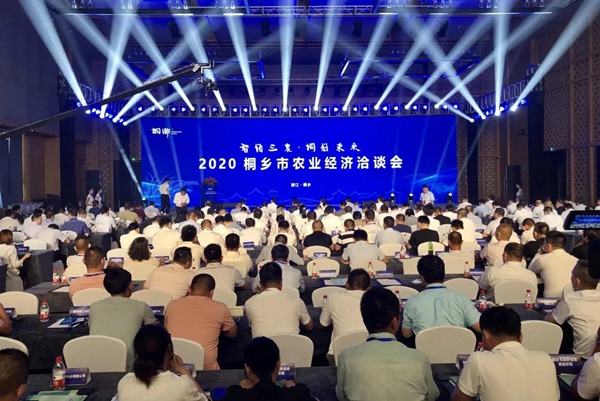 打造数字三农新模式，乐鱼与桐乡市人民政府签订战略合作协议