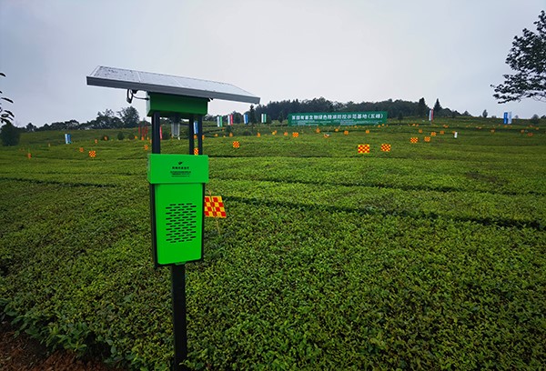 五峰仁和坪镇道家湾茶园里的乐鱼杀虫灯
