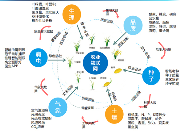 乐鱼打造的全要素智能采集系统