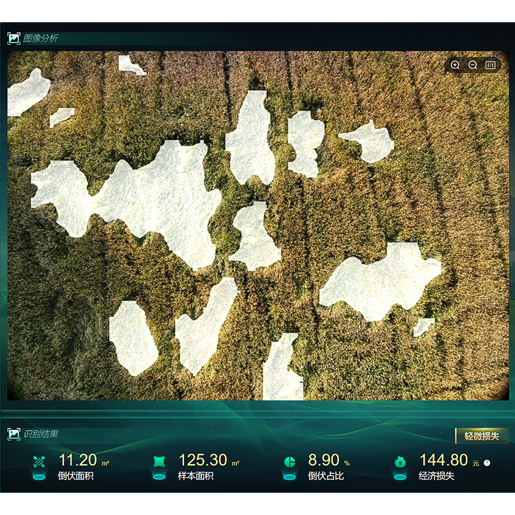 【750】低空遥感植物表型分析系统1.png